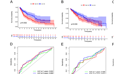 A novel pyroptosis-related lncRNA prognostic signature associated with the immune microenvironment in lung squamous cell carcinoma