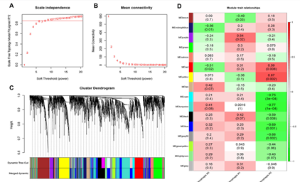 Identification and Exploration of NovelMacrophage M2-Related Biomarkersand Potential Therapeutic Agents in Endometriosis